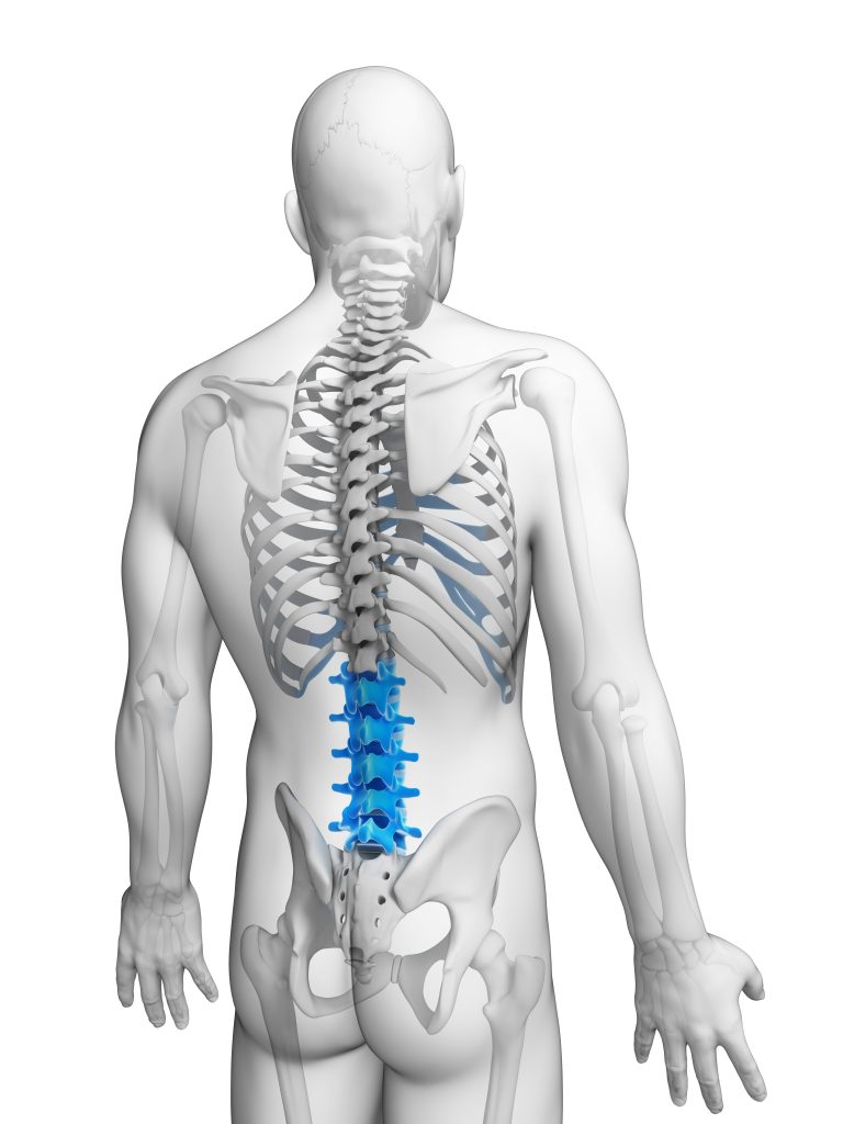 Stretches for mid discount back and ribs