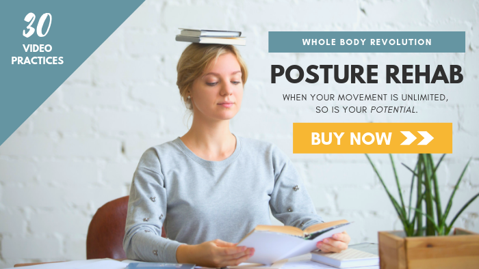 posture rehab buy now